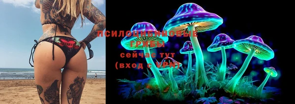 ПСИЛОЦИБИНОВЫЕ ГРИБЫ Армянск