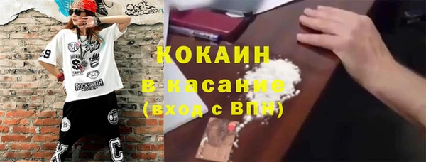 стаф Богородск
