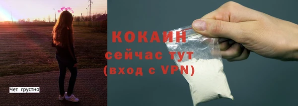 твердый Покровск