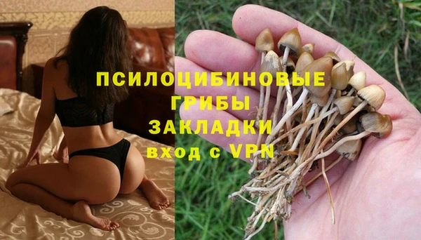 MESCALINE Арсеньев