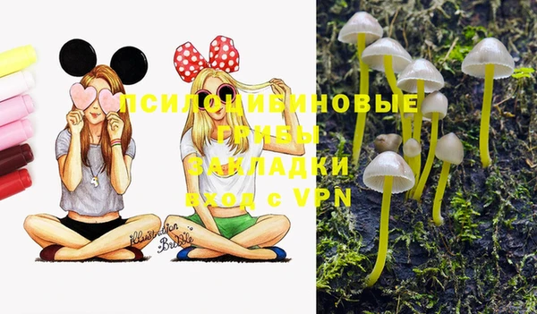 MESCALINE Арсеньев
