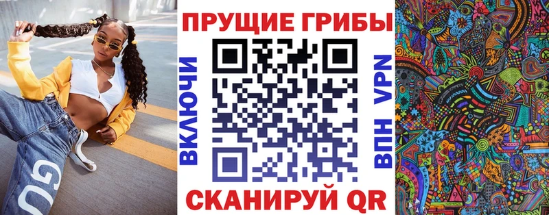 Галлюциногенные грибы Psilocybe  Аша 